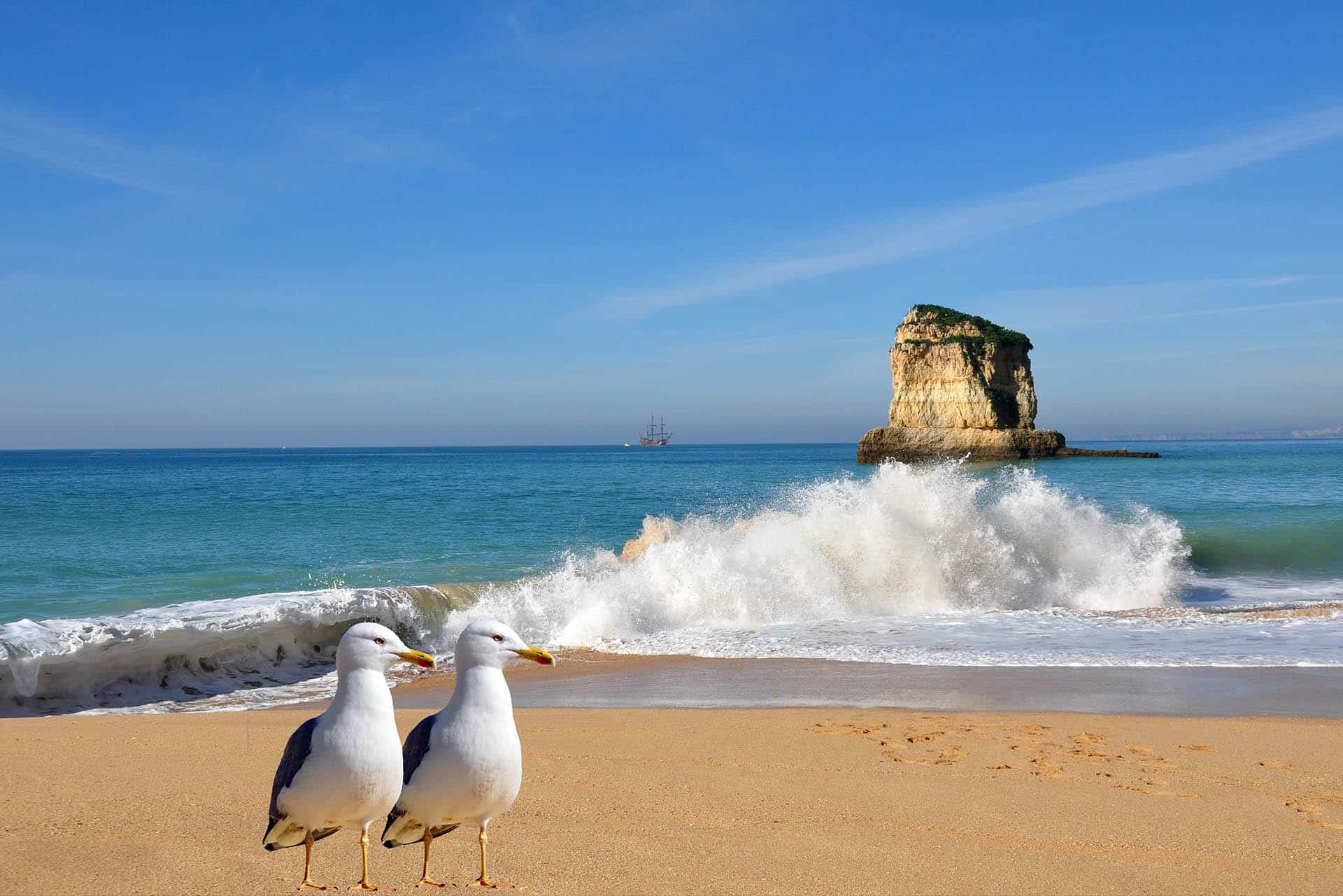 what to do in the algarve